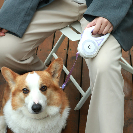 Dog Leash Retractable Collar Spotlight Traction Rope